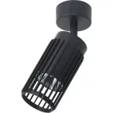 vertical-black-spot-1xgu10-podstawowy-skladnik-acai