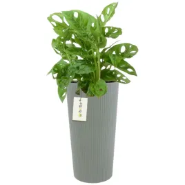 doniczka-donica-okragla-o-20-cm-h-385-cm-szary-elegancka-wysoka-prazki