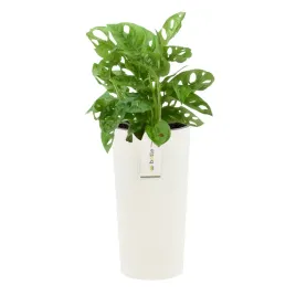 doniczka-donica-okragla-o-20-cm-h-385-cm-bialy-elegancka-wysoka-prazki