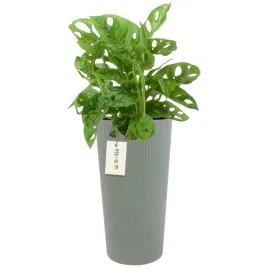 doniczka-donica-okragla-o-20-cm-h-385-cm-szary-elegancka-wysoka-prazki