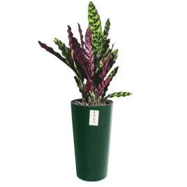 doniczka-donica-okragla-o-30-cm-h-575-cm-zielony-elegancka-wysoka-prazki
