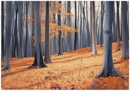 fototapeta-las-drzewo-natura-sypialnia-salon-tapeta-flizelina-400x280
