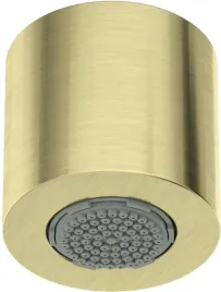 glowka-prysznicowa-1-funkcyjna-zloty-szczotkowany-nqs-r30k