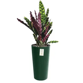 doniczka-donica-okragla-o-30-cm-h-575-cm-zielony-elegancka-wysoka-prazki