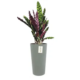 doniczka-donica-okragla-o-30-cm-h-575-cm-szary-elegancka-wysoka-prazki