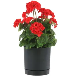 doniczka-z-podstawka-okragla-o292-cm-matowa-kolor-antracytowy