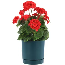 doniczka-z-podstawka-okragla-o39-cm-matowa-kolor-niebieski