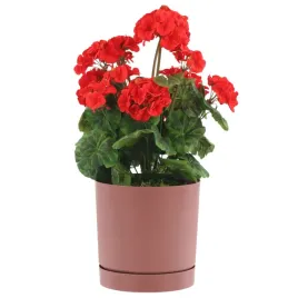 doniczka-z-podstawka-okragla-o338-cm-matowa-kolor-rozowy