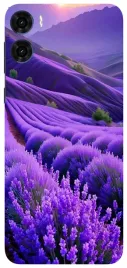 etui-case-do-motorola-moto-g06-kwiaty-rosliny