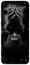 etui-case-do-motorola-moto-g06-wilki-dzikie-psy-tygrysy