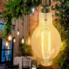 zarowka-weglowa-seligit-ed118-60w-e27-big