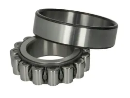 lozysko-polosi-walu-napedowego-130727