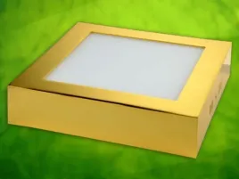 panel-led-rektus-12w-230v-zloty-dw