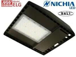 lampa-uliczna-led-bahira-100w-5500k-nichia-dali