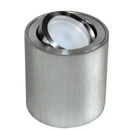 oprawa-sufitowa-febe-srebrna-szczotkowana-ruchoma