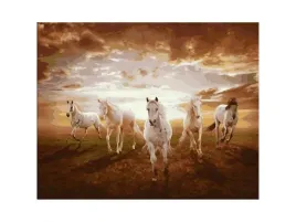 obraz-malowanie-po-numerach-rama-50x40cm-konie-w-galopie