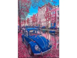 obraz-malowanie-po-numerach-rama-40x50cm-retro-garbus