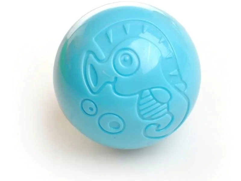 edukacyjny-chodzik-pchacz