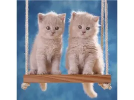 haft-diamentowy-obraz-mozaika-diamentowa-diamond-painting-kotki-na-husta