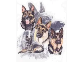 haft-diamentowy-obraz-mozaika-diamentowa-diamond-painting-owczarki-niemi