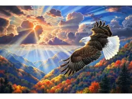 haft-diamentowy-obraz-mozaika-diamentowa-diamond-painting-orzel-na-niebi