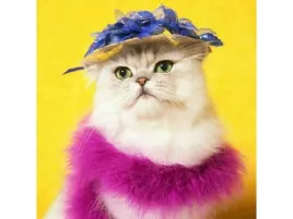 haft-diamentowy-obraz-mozaika-diamentowa-diamond-painting-kot-w-kapelusz
