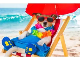 haft-diamentowy-obraz-mozaika-diamentowa-diamond-painting-pies-na-lezaku