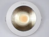 downlight-led-leo-20w-ww