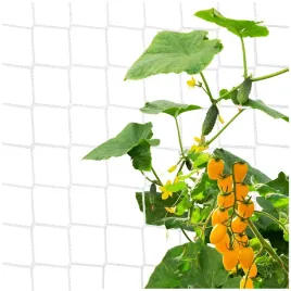 siatka-do-ogorkow-podpora-roslin-pnacych-warzyw-pomidorow-fasoli-2x20m