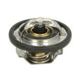 termostat-tourmax-tmt-201-7810028-stan-nowy