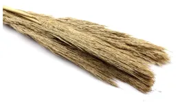 trawa-pampasowa-sanmuga-grass-naturalna-10szt-80cm