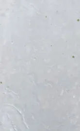 farba-wnetrze-zewnetrze-jesienna-mgla-mat-drewno-metal1-l-best-before-08-23