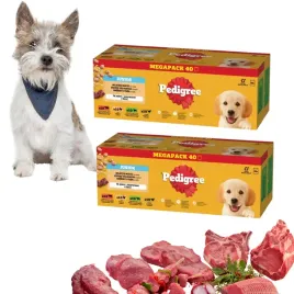 2-boxy-pedigree-junior