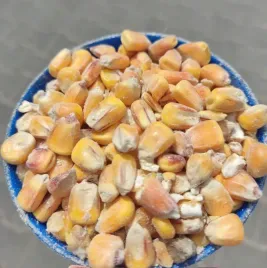 kukurydza-ziarno-material-paszowy-dla-drobiu-kur-bydla-zaneta-ryby-20kg