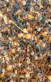 karma-dla-dzikich-ptakow-ziarno-mix-ziaren-slonecznik-kukurydza-10kg-mix
