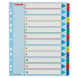 przekladki-kartonowe-mylar-a4-maxi-1-12-esselte-100209