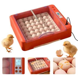 inkubator-wylegarka-36-jaj-automatyczna-obrotnica-temp-wilgotnosc