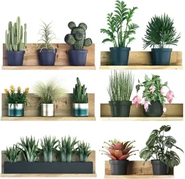 6x-naklejki-na-sciane-3d-rosliny-kwiaty-salon-sypialnia-dekoracja-ozdoba