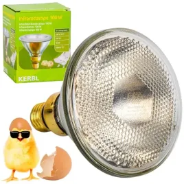 super-kwoka-promiennik-lampa-grzewcza-zarowka-e27-100w-dla-pisklat-biala