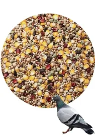 karma-dla-golebi-agro-king-bez-pszenicy-bp-super-jakosc-25kg