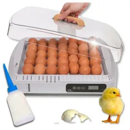 inkubator-automatyczny-do-wylegu-35-jaj-wylegarka-klujnik-do-wylegu-drobiu