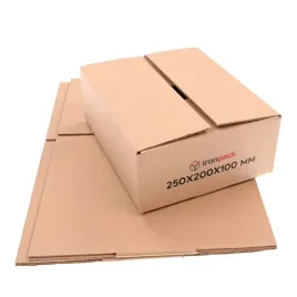 karton-klapowy-250x200x100mm-mocne-pudelko-3w-50szt