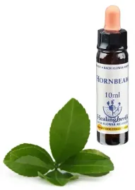 esencja-dr-bacha-17-hornbeam-grab-pospolity-10ml