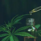 selective-hemp-100percent-vegan-lenitive-serum-100ml-rodzaj-inny