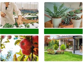 pehtiy-miernik-gleby-3-w-1-miernik-ph-wilgotnosci-i-plodnosci-gleby