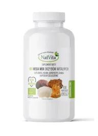 grzyby-witalne-bio-megamix-kapsulki-reishi-cordyceps-chaga-hericium-natvita