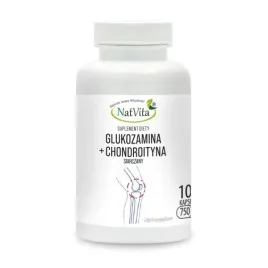 glukozamina-chondroityna-2-1-kolagen-stawy-100-kapsulek-750mg-natvita