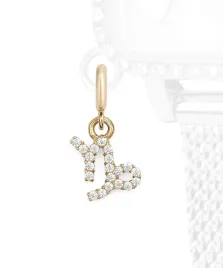zawieszka-daniel-wellington-charm-gold-capricorn-dw-dw01500010