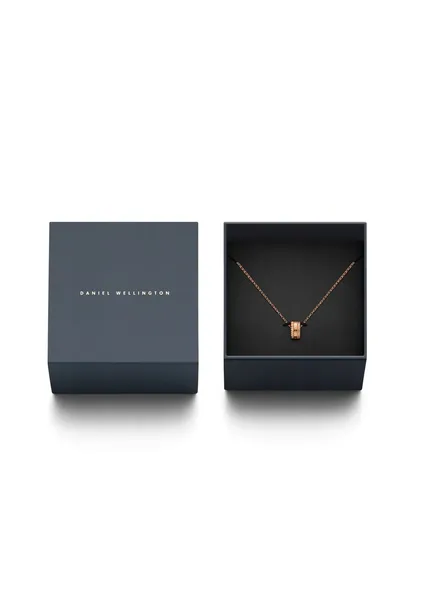 naszyjnik-daniel-wellington-elevation-dw-dw00400194-waga-z-opakowaniem-0-3-kg