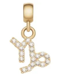 zawieszka-daniel-wellington-charm-gold-capricornus-dw-dw00400763